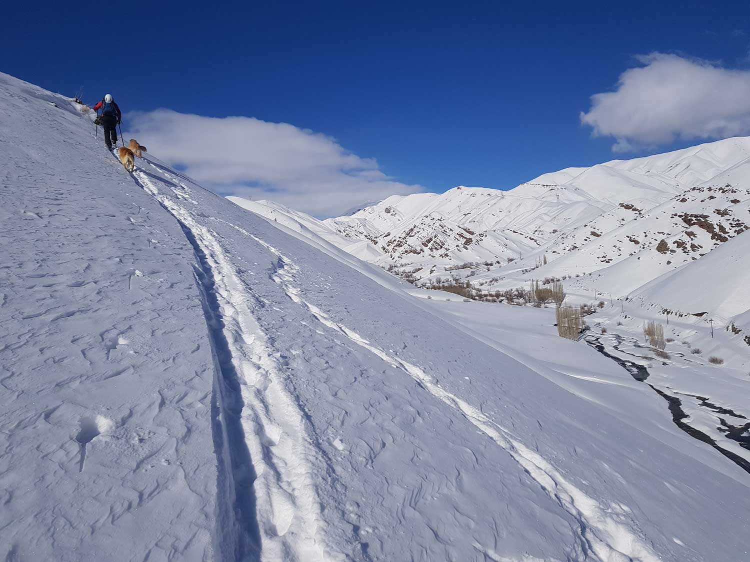 Dizin ski tour | & Taleghan ski touring tour |Best Iran ski tour